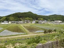 村上信五の番組での出会いがきっかけ… 高槻の土壌に“有用な微生物群”を確認　ぶとう苗木植え付け実証を開始