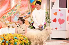 『新婚さん』夫の第一印象は「侍みたいな人」→羊が“恋のキューピット”　現在は夫妻で東京ドーム約2個分の牧場営む