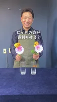 切り花を日持ちさせるには…？　目からウロコの実験結果に「知らなかった！」「だからすぐ枯れちゃったのか…」