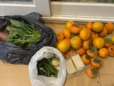 2歳児と散歩をするともらえる“報酬”？　大量の野菜や果物の山に3.1万いいね「全部に『いる』と返事をしてました」