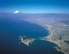 はとバス、“海の環境問題”をテーマにしたサステナブルツアー運行へ　舞台は江の島海岸、夏休みの小学生も歓迎