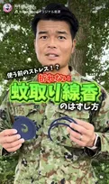 蚊に刺されたときの“かゆみを取る”裏ワザを自衛隊が紹介「『冷やして麻痺させる』のではなく…」　“折れない蚊取り線香のはずし方”とともに解説
