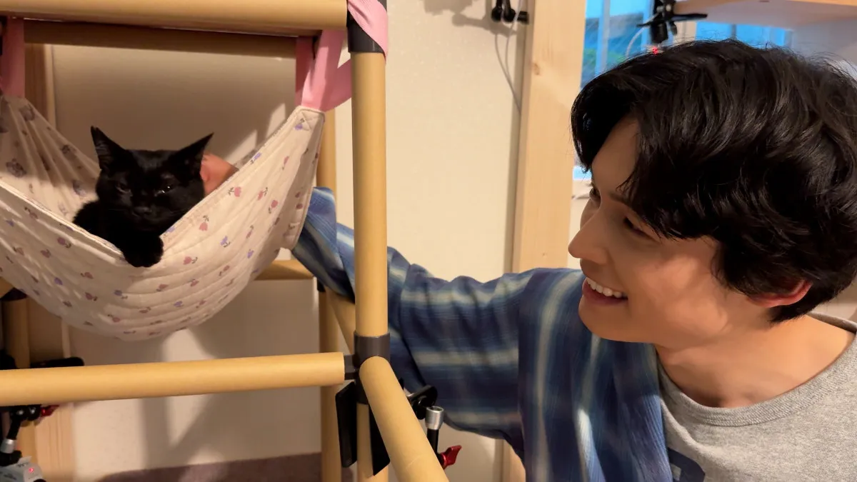 SixTONES・松村北斗、2匹の保護猫にメロメロ　ダーリンハニー・長嶋のもとを訪問