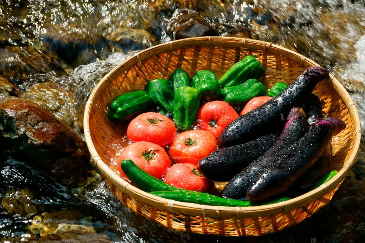 夏野菜がおいしい季節…生野菜の食中毒予防について農林水産省が解説「新鮮な野菜でも油断は禁物」