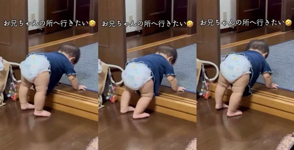 「お兄ちゃんのところへ行きたいいいいい！！」段差を越えようと“お尻ふりふり”奮闘する8ヵ月妹