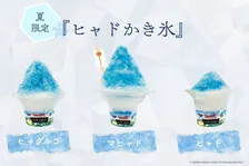 ドラクエ「ヒャド」「ヒャダルコ」「マヒャド」のかき氷が登場　呪文の威力が増すほど大きく…場所は淡路島
