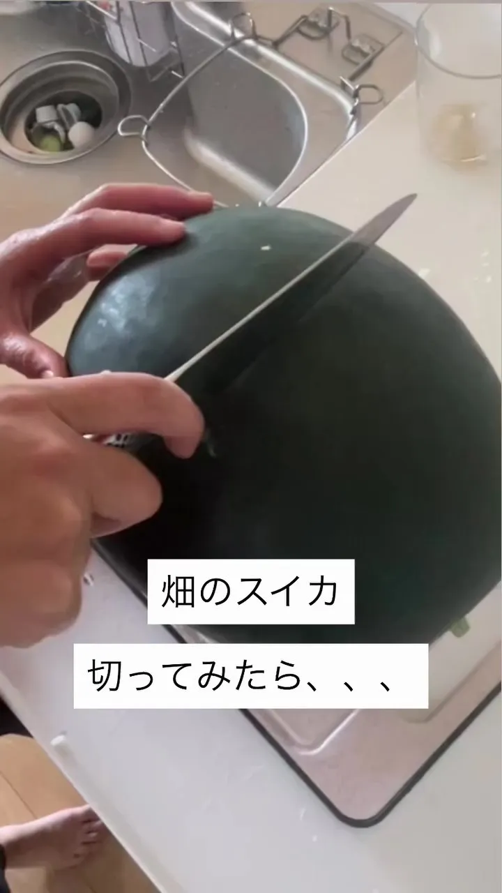 畑のスイカを切ってみたら…まさかの展開に1000万再生「えー！はじめて見たｗ」「水戸黄門の紋所かと…！」