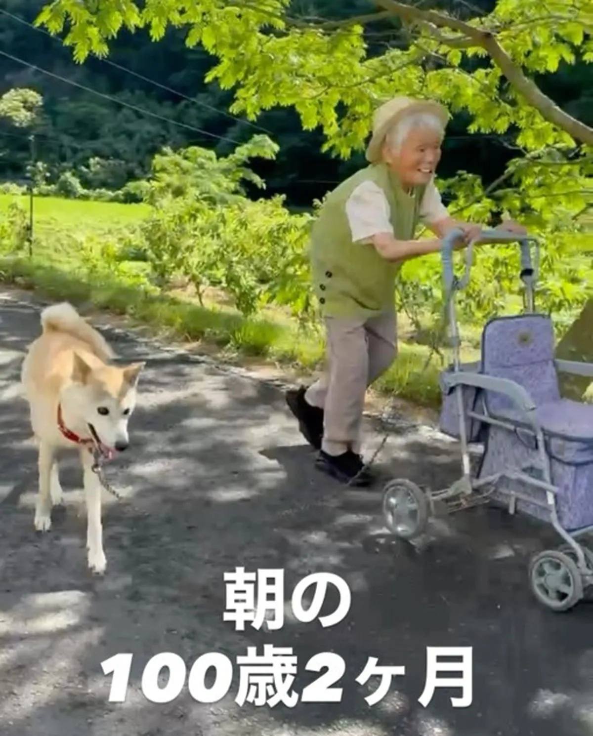 「賢いなぁ…」100歳2ヶ月おばあちゃんと愛犬の“ほのぼの散歩”が話題「なんて優しい風景」