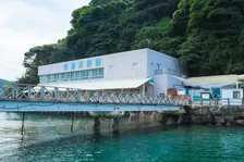 「頑張れ手前の子！」流しアジに挑むペンギンたち、個性あふれる姿に「要領悪くて草」「毎日見たい」