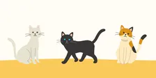 イオンモール熊本の猫カフェ「MOFF」から救出された猫25頭、広島店舗に到着　現在の様子を報告【令和8年熊本地震】