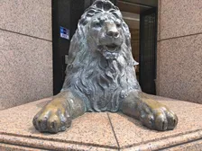「なんだろう、ビミョーに関取感」銀座三越のライオン像が浴衣姿でお出迎え「粋だね」「似合いますね」