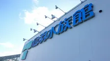 「このようなお知らせで筆が進まず…」鳥羽水族館、31歳フンボルトペンギン「ピーナツ」の永眠を報告