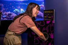 サンシャイン水族館、夜間特別営業を実施へ　大人向け？「性いっぱい展」　「性の神秘」を楽しく学ぶ
