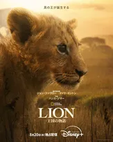 1頭の子ライオンを1400日間追跡　ジョン・ファヴロー製作総指揮『LION -王国の物語-』D＋で配信