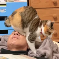 愛とは耐えること…顔面をフミフミされてもじっと耐えるパパに8.9万いいね「まさに至福の時間」