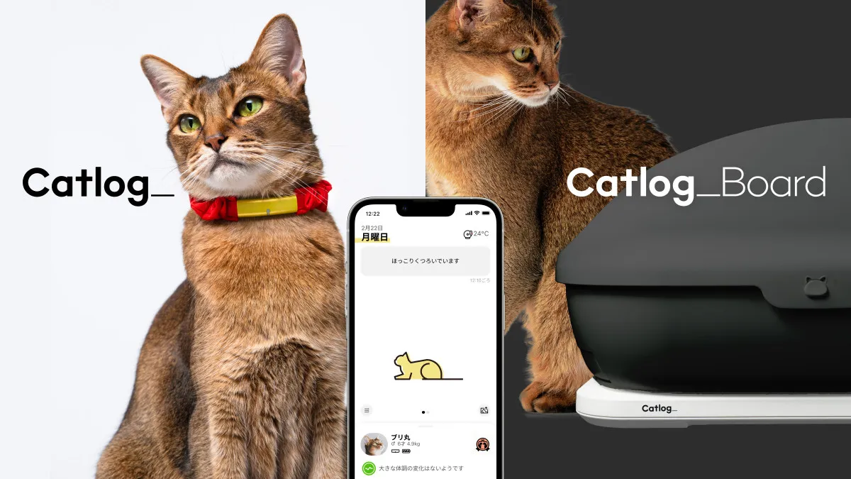 震災後の猫に異変　猛暑が重なり泌尿器トラブルのリスク高まる