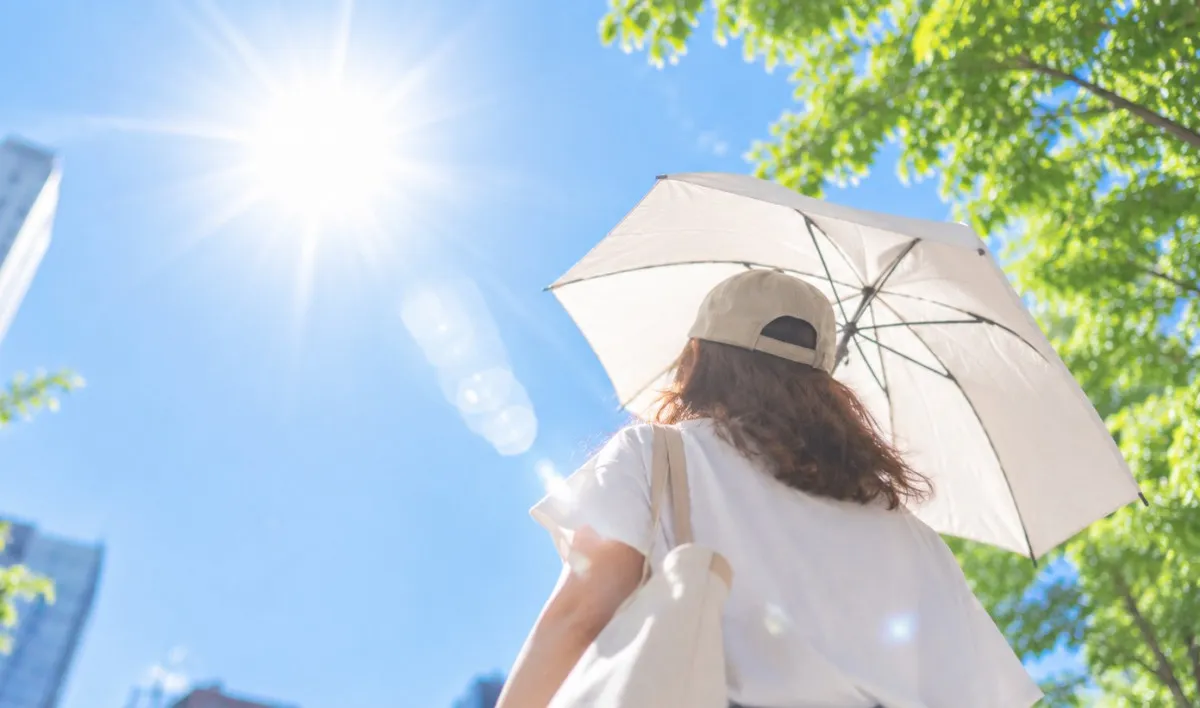 アイスを1時間持ち歩いたらどうなる？ 気温30℃超で検証「アイス買う時必需品」「持ち運び便利」