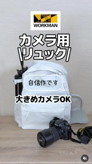 ワークマン、4900円の「カメラバッグ」“即完売”に驚き「自信作ではありましたが」　再販の可能性を聞いた