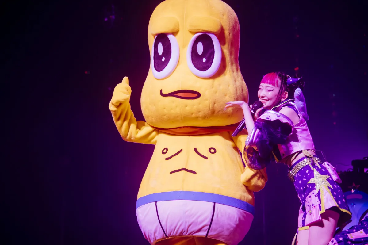水曜日のカンパネラ×ピーナッツくん「いちご Got it」ライブ映像公開