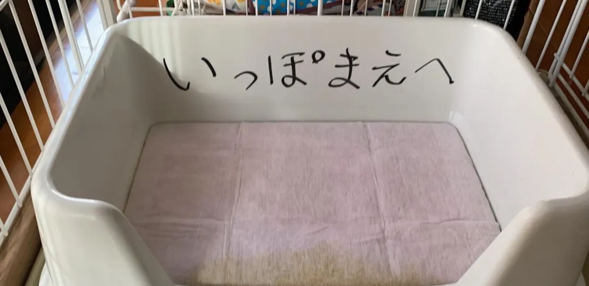 「いっぽまえへ」犬のトイレに貼られた“ひらがな”のお願い　飼い主も驚いたその後の変化