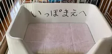 「いっぽまえへ」犬のトイレに貼られた“ひらがな”のお願い　飼い主も驚いたその後の変化
