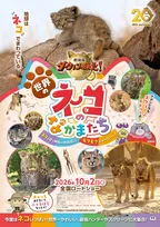 MISIA「ガムシャラ」とネコ科動物たちが共演　『劇場版ダーウィンが来た！』特別映像公開