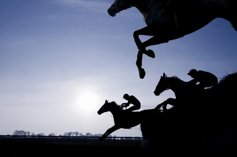 【オジュウチョウサンの挑戦・2018有馬記念】障害と平地の“二刀流”Ｇ１...