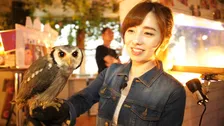 60羽超え！？たくさんのフクロウと触れ合える噂のお店に行ってみた！！