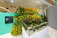 AQUARIST×盆栽師×フラワーアーティストが初共演！「Green Life Festival...