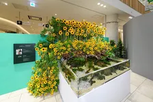 AQUARIST×盆栽師×フラワーアーティストが初共演！「Green Life Festival」が武蔵小杉で開催中