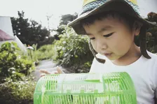 酷暑、地球温暖化の影響！？東京のセミの鳴き声に異常あり…