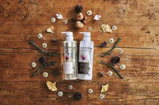 ボタニカル ナイトプールも大好評！秋限定「ラックス プレミアム ボタニフィーク オータムリセット＆リラックス」に注目