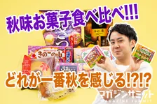 「半分、青い。」ロスを解消できる！？秋味スイーツで一番「秋風」感じるのはどれだ選手権