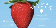 佐賀県から新いちごデビュー【いちごさん】！　そのルーツは新宿御苑！？