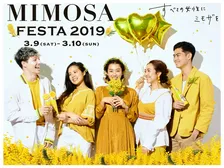 川崎の街をミモザの花で染め上げ、女性を祝福するイベント「MIMOSA FESTA 2019」が開催！