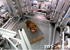 まんま３Dフィギアが飼い主の手に！超時短撮影3Dフォトスキャン「3D SNAP」登場でペット業界騒然