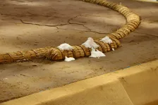 【大相撲】不知火型は短命というジンクスと最強横綱に認められた白鵬