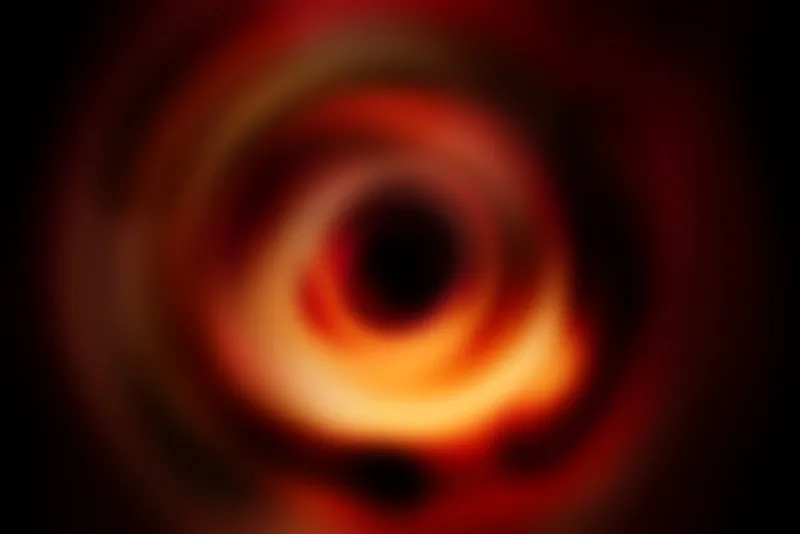 「ブラックホール撮影成功」もサキドリ！　ポスト「ざんねんないきもの...