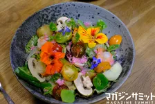 20日オープンの絶滅体験レストランで絶滅した未来を一足先に体験してきた