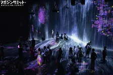 チームラボボーダーレス1周年！来場者数230万人…世界を惹きつけるデジタルアートの魅力