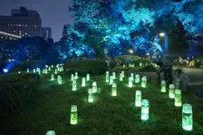 週末のお出かけにオススメ！来場者1万人突破の日比谷公園イルミネーション「ビーズハーバリウム」が21日まで開催中