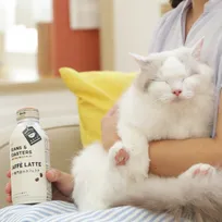 「世界猫の日」に合わせ、猫と一緒に癒されるためのプロジェクト「ＮＥＡＮＳ ＆ ＲＯＡＳＴＥＲＳ」を実施！