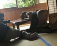 戸田れい、色っぽい浴衣姿や大胆に解放した美ヒップでファンを誘惑!