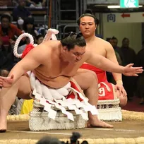 白鵬よ、張り手・かち上げを封印し優勝してみせろ　～令和２年初場所～