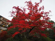 11月の３連休は有馬温泉が狙い目！昼飲みキャンペーンやアートイベントを開催中！