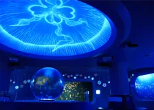 新江ノ島水族館、冬季スペシャルイベント「Jewerium」開催！江の島一帯にロマンチックな景色広がる