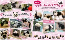 パンダのお色気グラビアやパンダトンデモ事件簿まで。パンダづくしの一冊「パンダ自身」が登場！