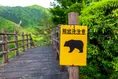 よく見るけど絶滅の危機？日本でもおなじみ意外な絶滅危惧種