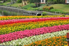 コロナが落ち着いたら行きたい！旅行会社で働く従業員が本気でおすすめする観光スポット