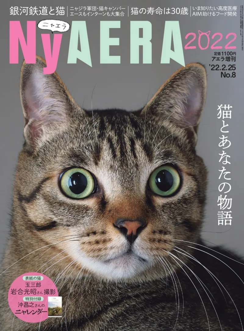 雑誌「AERA」が一冊まるごと猫化した「NyAERA（ニャエラ）」が発売！今...